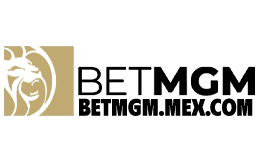 betmgm-nl.casino
